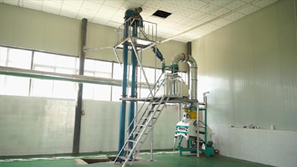 四川德昌核桃，菜籽，茶籽綜合加工生產(chǎn)線(xiàn)